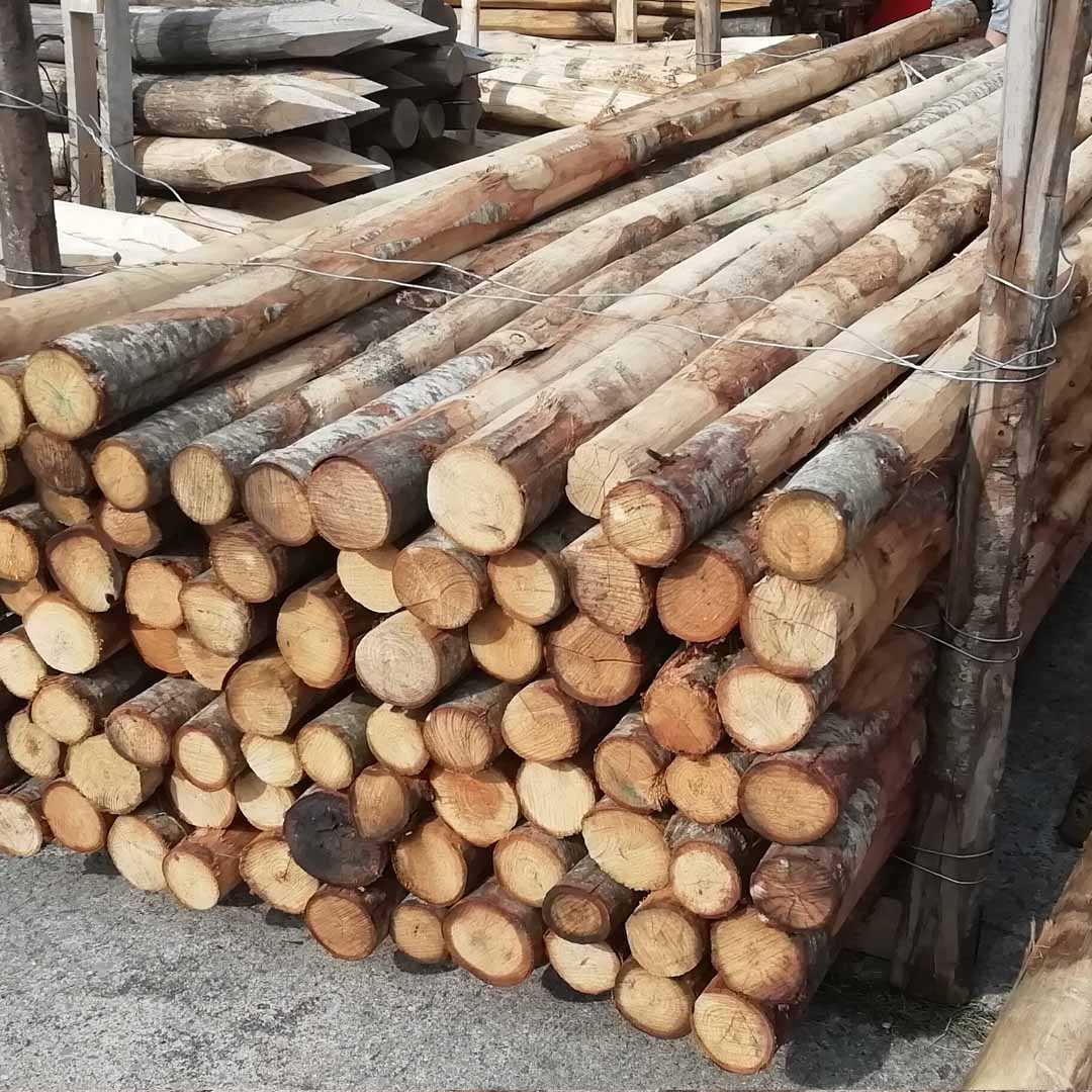 Holzstangen natur